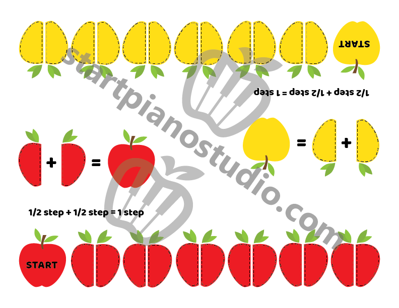 Apple Half and Whole