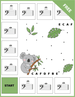 Koala Ledger Notes